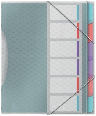 Triediace dosky, A4, 6 hárkov, plast, ESSELTE "Colour’Ice", priehľadná